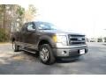 2013 Sterling Gray Metallic Ford F150 STX SuperCab  photo #3