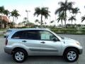 Titanium Metallic - RAV4  Photo No. 5