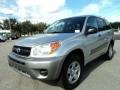 Titanium Metallic - RAV4  Photo No. 13