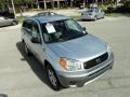 Titanium Metallic - RAV4  Photo No. 16