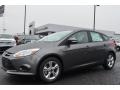 Sterling Gray - Focus SE Hatchback Photo No. 3