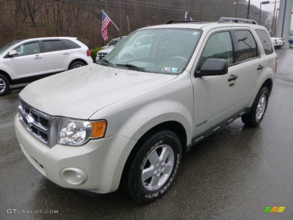 Light Sage Metallic 2008 Ford Escape XLT 4WD Exterior Photo #88573328