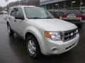 2008 Light Sage Metallic Ford Escape XLT 4WD  photo #8