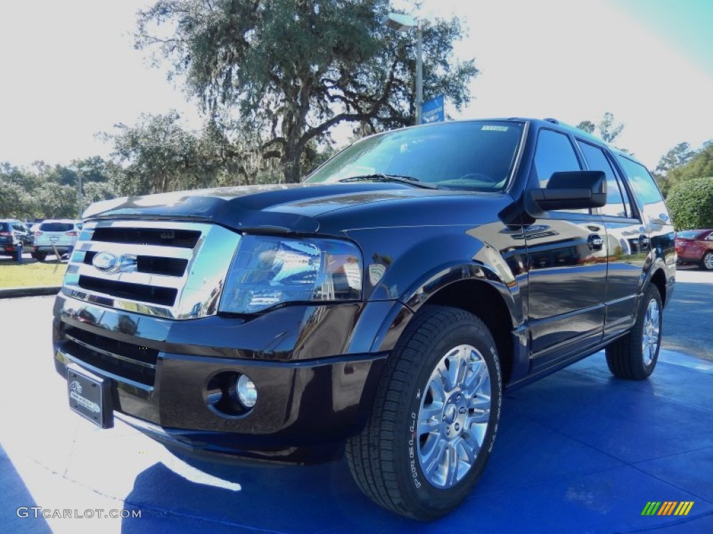 Kodiak Brown Ford Expedition