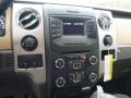 Pale Adobe Controls Photo for 2014 Ford F150 #88578562