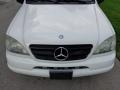 Polar White - ML 320 4Matic Photo No. 30