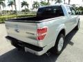 Ingot Silver Metallic - F150 Platinum SuperCrew 4x4 Photo No. 6