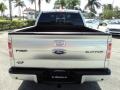 Ingot Silver Metallic - F150 Platinum SuperCrew 4x4 Photo No. 7