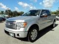 2012 Ingot Silver Metallic Ford F150 Platinum SuperCrew 4x4  photo #13