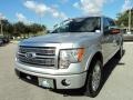 2012 Ingot Silver Metallic Ford F150 Platinum SuperCrew 4x4  photo #14