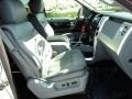 Ingot Silver Metallic - F150 Platinum SuperCrew 4x4 Photo No. 19