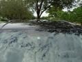 Black - Grand Cherokee Laredo Photo No. 21