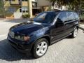 Toledo Blue Metallic 2004 BMW X5 4.4i Exterior