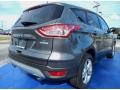 2014 Sterling Gray Ford Escape SE 1.6L EcoBoost  photo #3