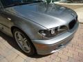 2005 Silver Grey Metallic BMW 3 Series 330i Coupe  photo #33