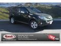 Spruce Green Mica - RAV4 XLE AWD Photo No. 1
