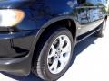 2002 Black Sapphire Metallic BMW X5 4.4i  photo #21