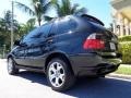 2002 Black Sapphire Metallic BMW X5 4.4i  photo #24