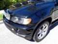 2002 Black Sapphire Metallic BMW X5 4.4i  photo #26