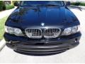 2002 Black Sapphire Metallic BMW X5 4.4i  photo #28