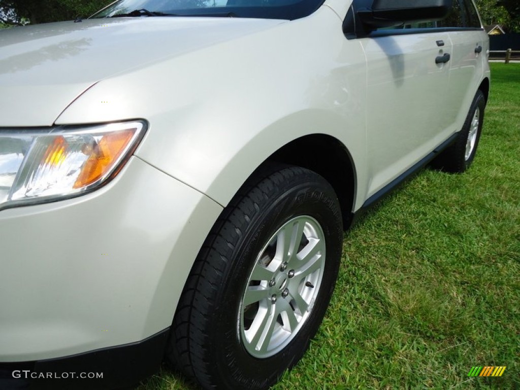 2007 Edge SE - Light Sage Metallic / Camel photo #15