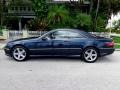 Black Opal Metallic 2002 Mercedes-Benz CL 500 Exterior