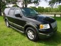 Black Clearcoat - Expedition XLT 4x4 Photo No. 1
