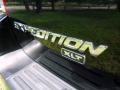Black Clearcoat - Expedition XLT 4x4 Photo No. 2