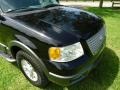 Black Clearcoat - Expedition XLT 4x4 Photo No. 17
