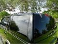 Black Clearcoat - Expedition XLT 4x4 Photo No. 29