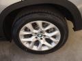 Platinum Gray Metallic - X5 xDrive 35i Photo No. 10