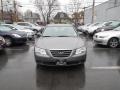 Willow Gray - Sonata GLS Photo No. 2