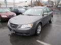 Willow Gray - Sonata GLS Photo No. 3