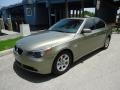 2004 Olivine Green Metallic BMW 5 Series 525i Sedan  photo #3