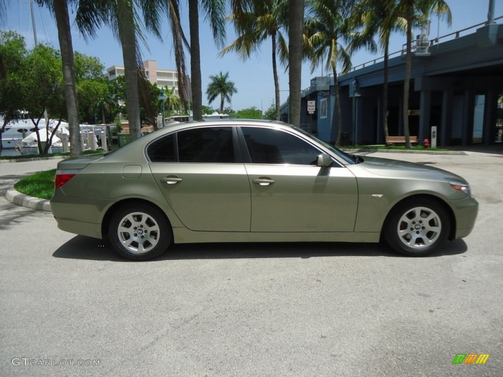 Olivine Green Metallic 2004 BMW 5 Series 525i Sedan Exterior Photo #88618798