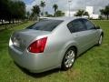 Liquid Silver Metallic - Maxima 3.5 SL Photo No. 3