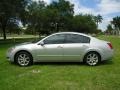 Liquid Silver Metallic - Maxima 3.5 SL Photo No. 9