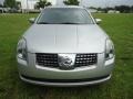Liquid Silver Metallic - Maxima 3.5 SL Photo No. 13
