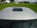 Liquid Silver Metallic - Maxima 3.5 SL Photo No. 22