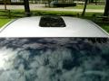Liquid Silver Metallic - Maxima 3.5 SL Photo No. 32