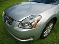 Liquid Silver Metallic - Maxima 3.5 SL Photo No. 42