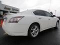 Winter Frost White - Maxima 3.5 SV Premium Photo No. 7