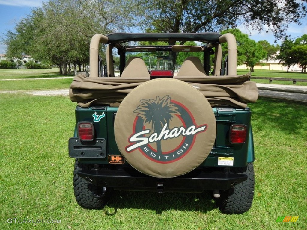 2000 Wrangler Sahara 4x4 - Forest Green Pearl / Camel/Dark Green photo #3