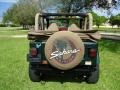 2000 Forest Green Pearl Jeep Wrangler Sahara 4x4  photo #3