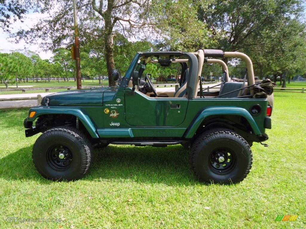 2000 Wrangler Sahara 4x4 - Forest Green Pearl / Camel/Dark Green photo #6