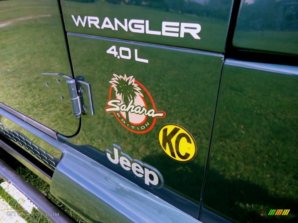 2000 Wrangler Sahara 4x4 - Forest Green Pearl / Camel/Dark Green photo #8