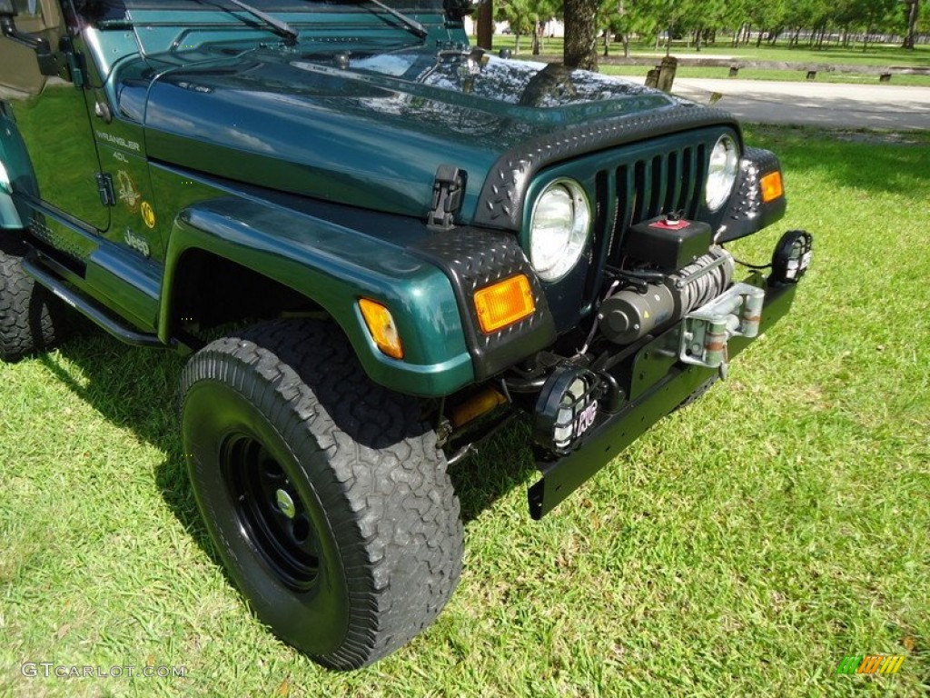 2000 Wrangler Sahara 4x4 - Forest Green Pearl / Camel/Dark Green photo #11