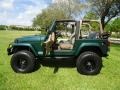 2000 Forest Green Pearl Jeep Wrangler Sahara 4x4  photo #14