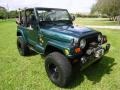 2000 Forest Green Pearl Jeep Wrangler Sahara 4x4  photo #20