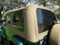 2000 Forest Green Pearl Jeep Wrangler Sahara 4x4  photo #25